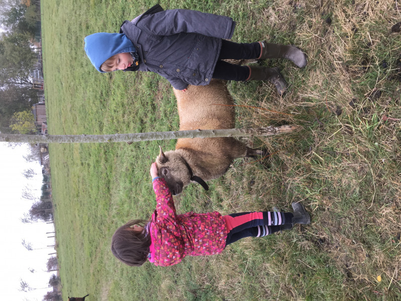 La Microferme de L'arbre cheval à ramillies - Beauté & Bien-être - Centre de loisirs | Boncado - photo 4