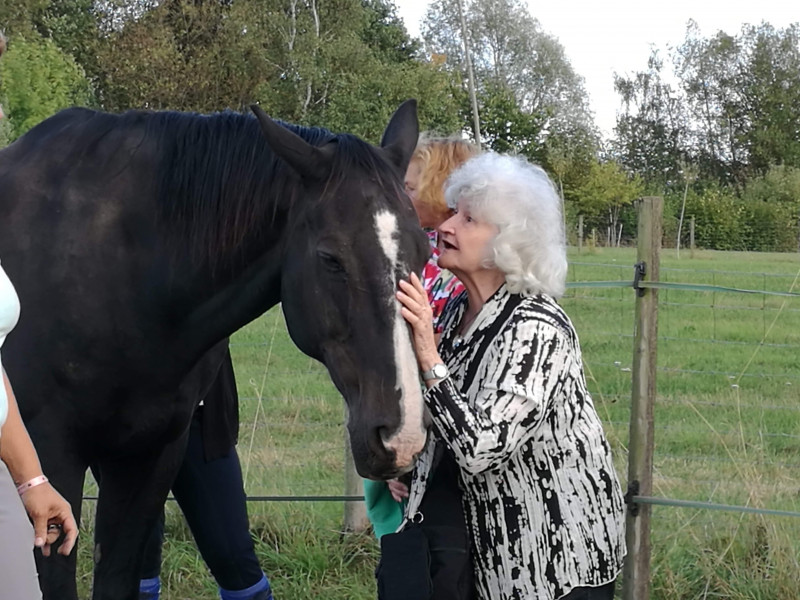 La Microferme de L'arbre cheval à ramillies - Beauté & Bien-être - Centre de loisirs | Boncado - photo 5