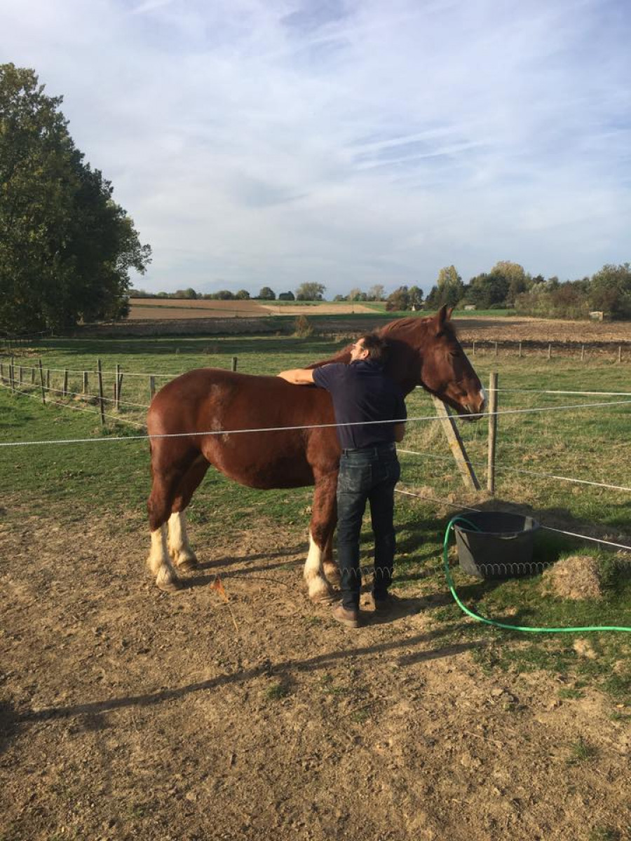 La Microferme de L'arbre cheval à ramillies - Beauté & Bien-être - Centre de loisirs | Boncado - photo 8