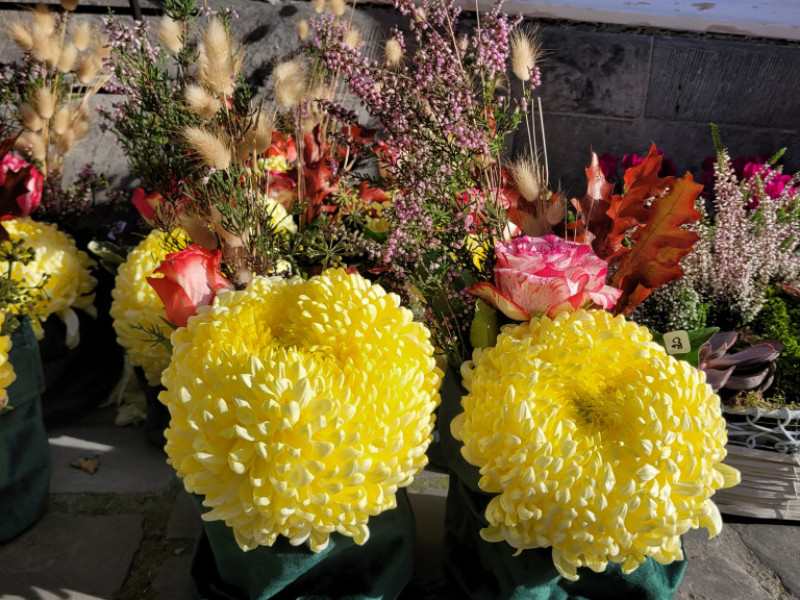 XL Fleur à Tournai - Dekorationsgeschäft - Blumen und Dekoration | Boncado - photo 6