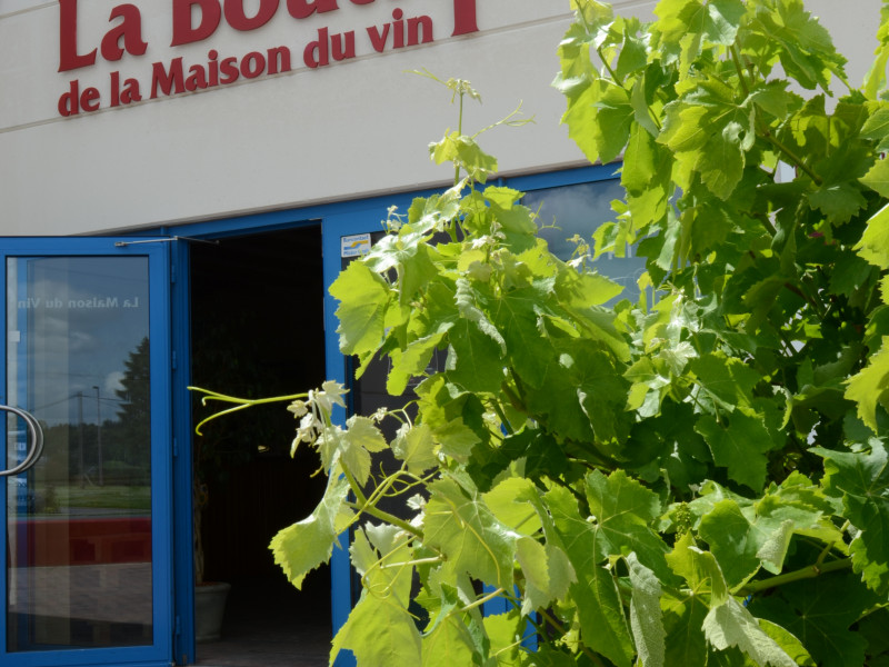 Bertrand Leblanc à sorinnes - Vins et spiritueux - Épicerie fine | Boncado - photo 3