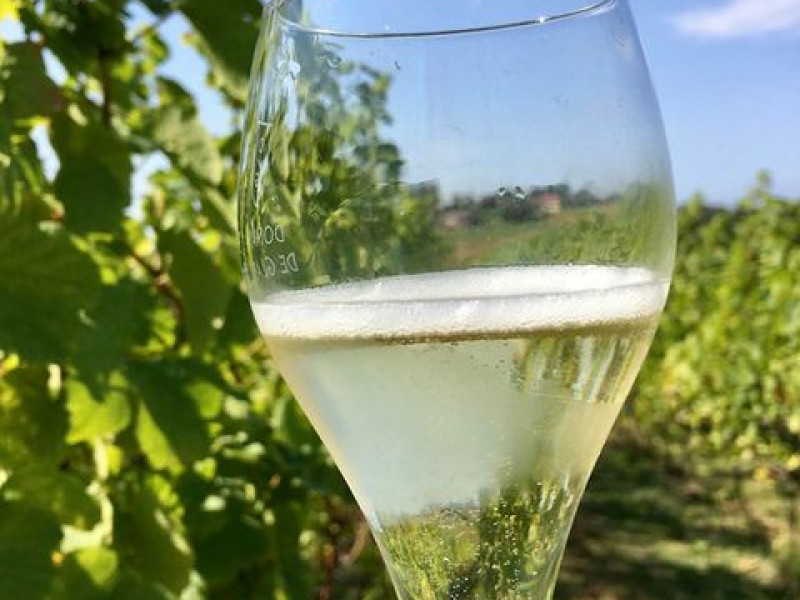 Domaine viticole de Glabais à Glabais - Weine und Spirituosen - Hofladen | Boncado - photo 5