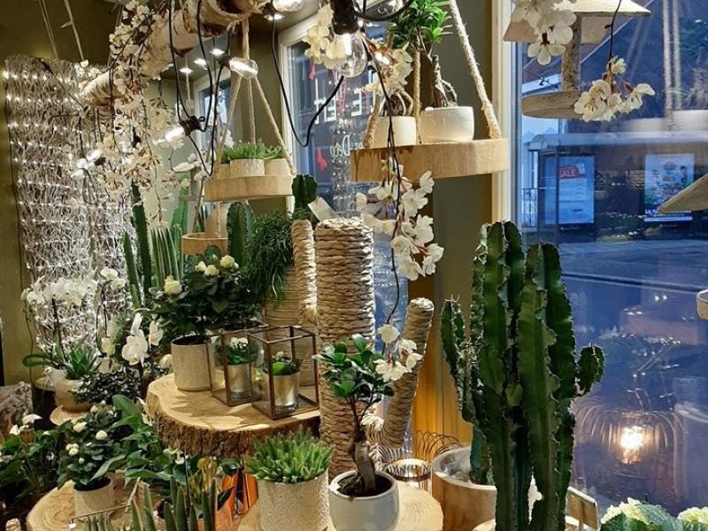 Fleuriste Entre Vert à Stembert - Bloemen en decoratie | Boncado - photo 4