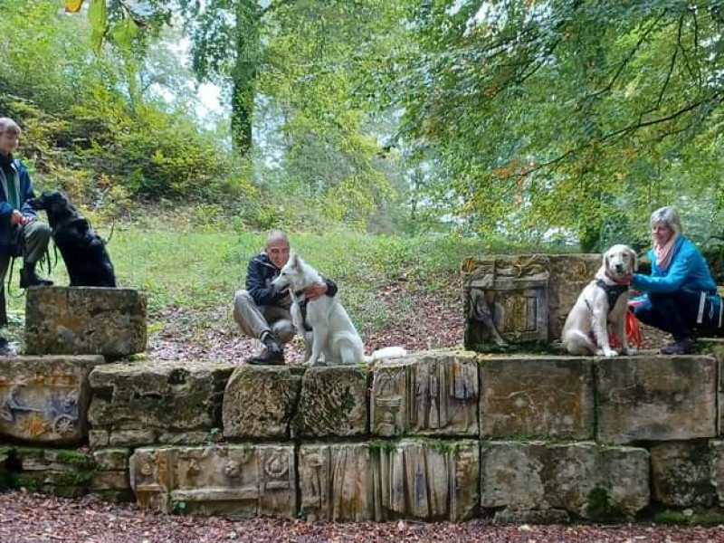 Les amis de Koda asbl - école du chien à Etalle - Tierdressur - Tierdressur | Boncado - photo 4