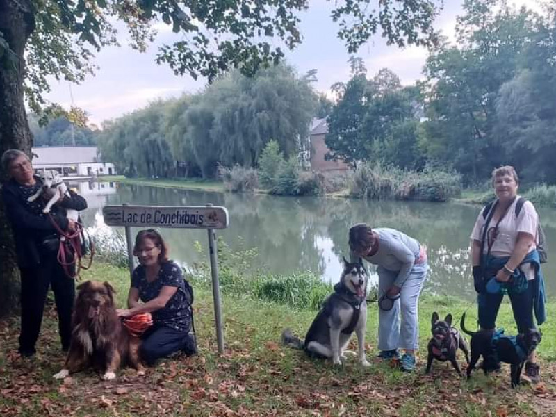 Les amis de Koda asbl - école du chien à Etalle - Tierdressur - Tierdressur | Boncado - photo 5