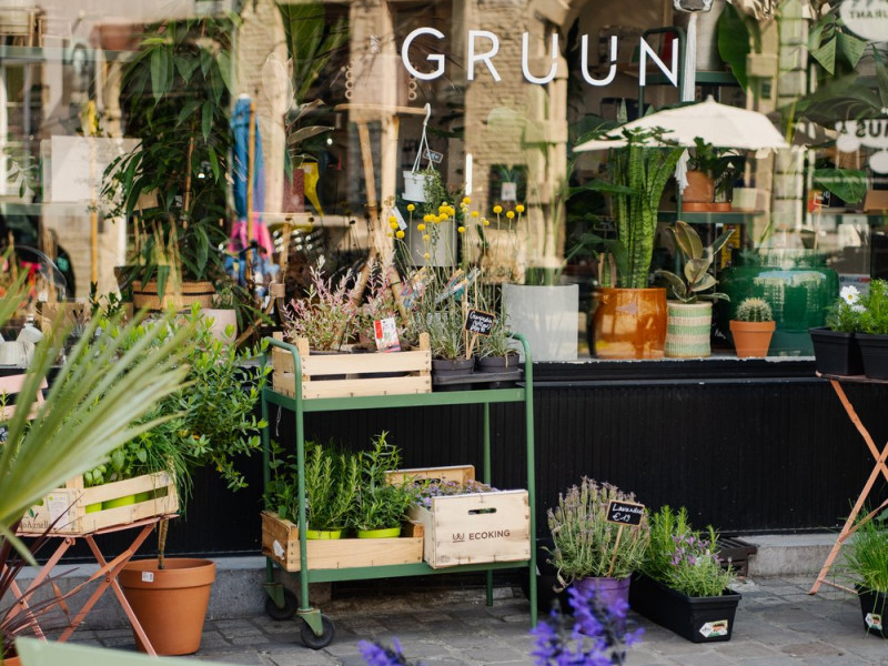 GRUUN | plants & coffee à Brussel - Fleurs et Déco - Magasin de café et de thé | Boncado - photo 3