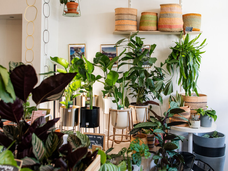 GRUUN | plants & coffee à Brussel - Bloemen en decoratie - Koffie- en theewinkel | Boncado - photo 5