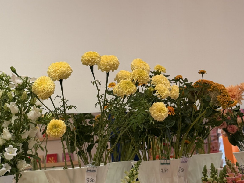 Mother flower à Tournai - Bloemen en decoratie - Decoratiewinkel | Boncado - photo 16