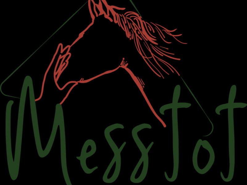 Messtot à Basse Bodeux - Manege | Boncado - photo 2