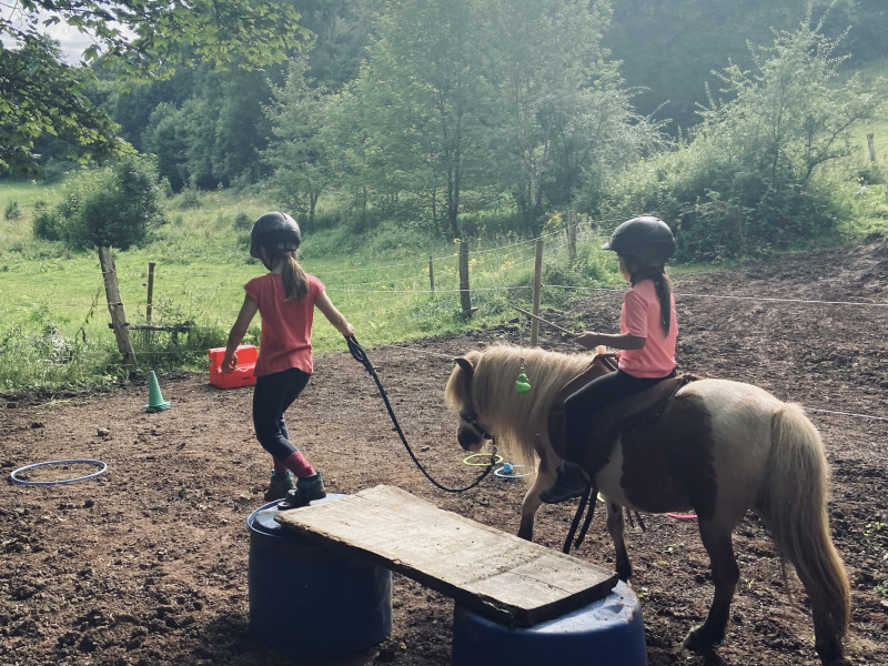 Messtot à Basse Bodeux - Manege | Boncado - photo 10
