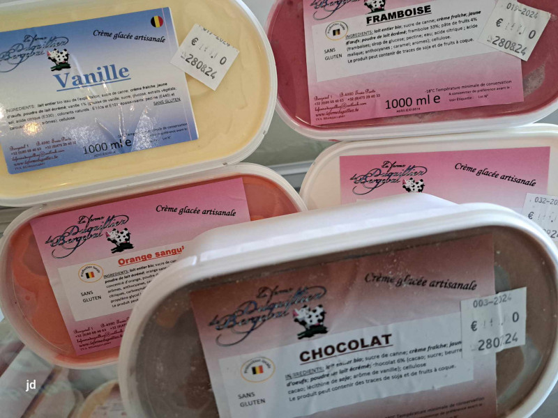 Les glaces Dugailliez de Bergeval à Trois-Ponts - Glacier | Boncado - photo 10
