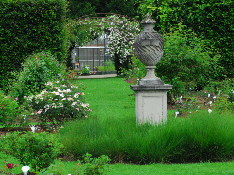 Les Roses de Daniel à MALMEDY BELGIQUE - Jardinerie – Pépinière | Boncado - photo 2