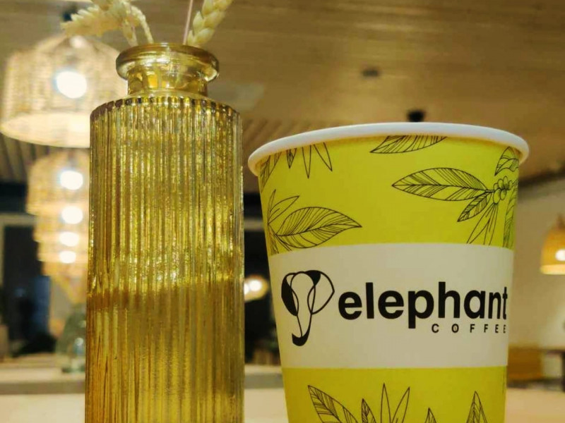 Elephant coffee à Tournai - Coffeeshop - Theehuis | Boncado - photo 7