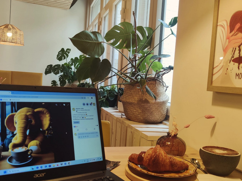 Elephant coffee à Tournai - Coffeeshop - Theehuis | Boncado - photo 8