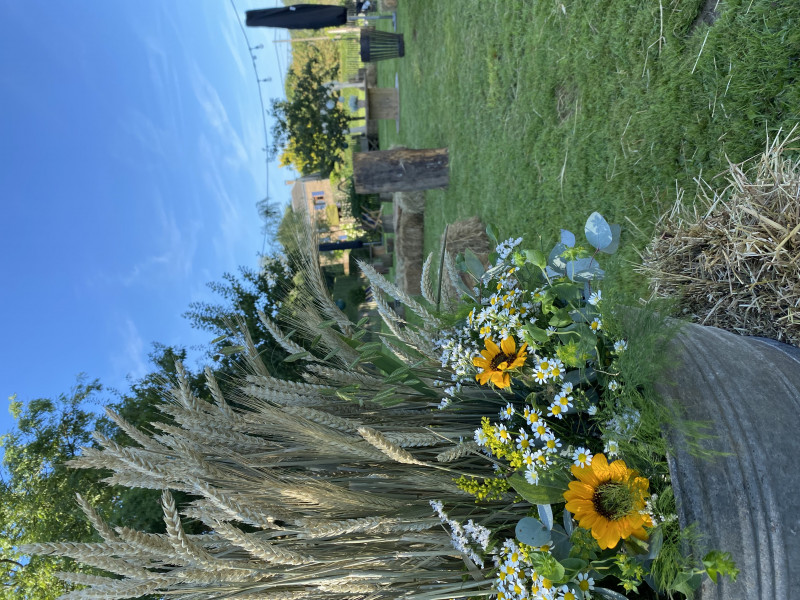 La mélodie des Fleurs à Libin | Boncado - photo 9