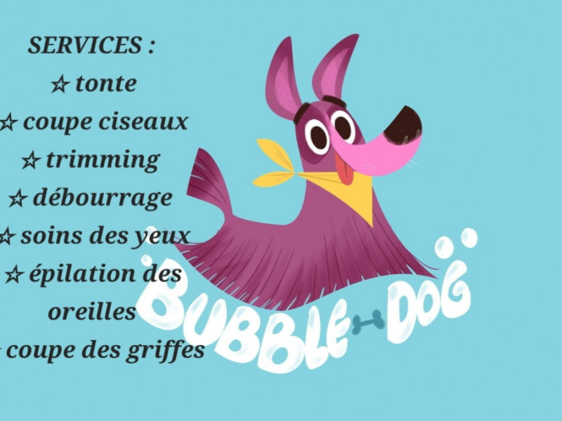 Bubble Dog à Libin - Toiletteur | Boncado - photo 2