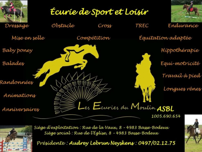 Les Écuries du Moulin ASBL à Basse-Bodeux - Club d'équitation | Boncado - photo 4