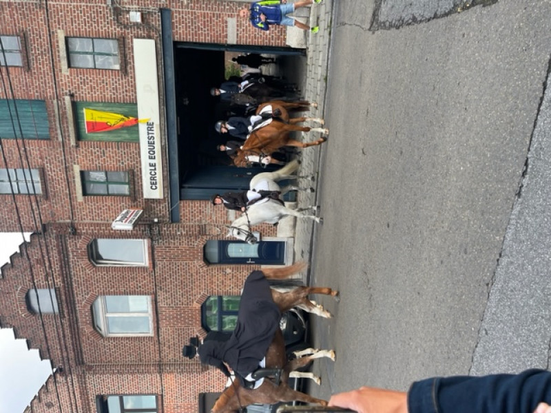CERCLE EQUESTRE DE GOSSELIES à gosselies | Boncado - photo 2