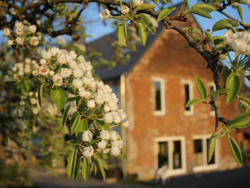Gîtes Al Serinne à Fexhe-le-Haut-Clocher - Hôtel et hébergement | Boncado - photo 2