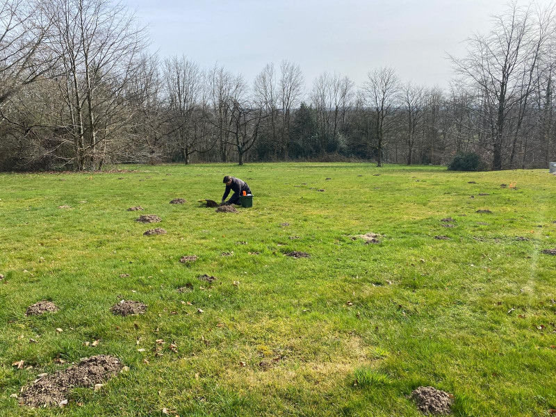 Bio Taupe à Verviers | Boncado - photo 20