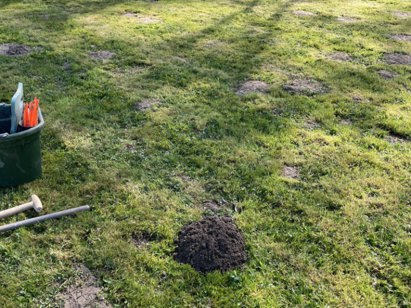 Bio Taupe à Verviers | Boncado - photo 23