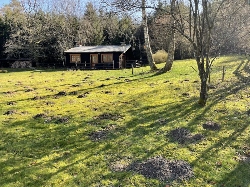 Bio Taupe à Verviers | Boncado - photo 16