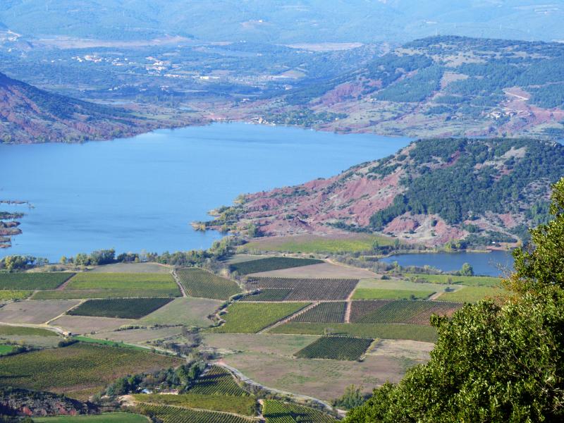 Accords de Vins à Neupré - Alimentation et boissons | Boncado - photo 4