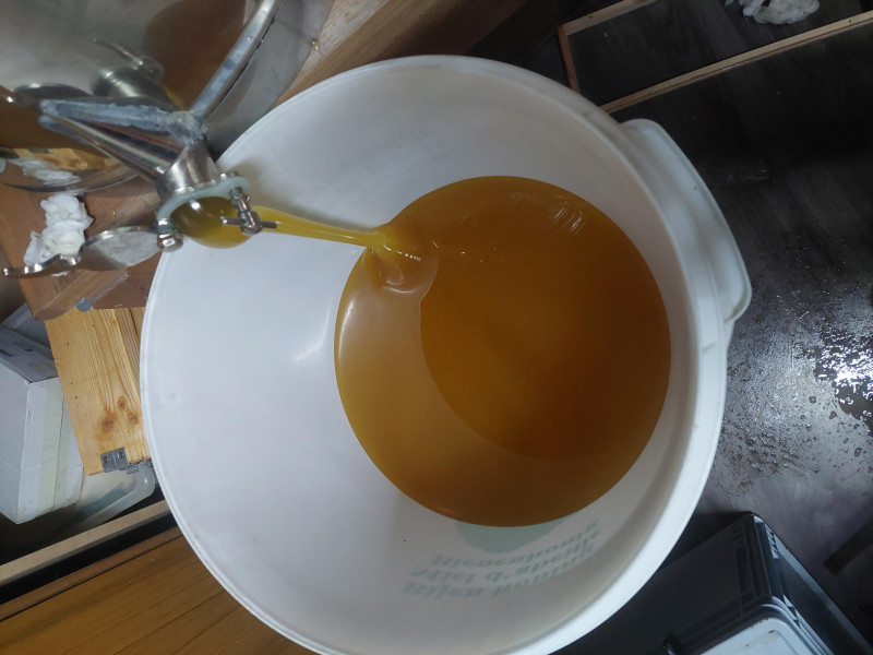 le Rucher Mielchi d'Or à Tenneville | Boncado - photo 7