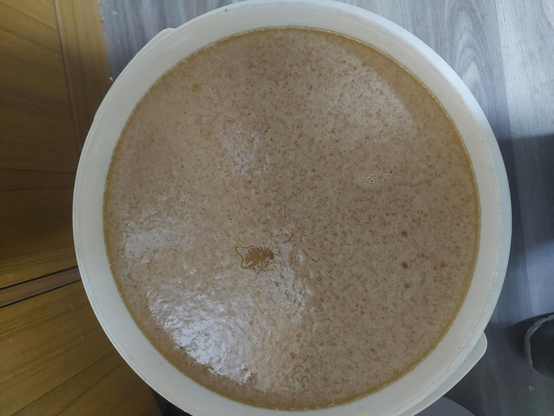 le Rucher Mielchi d'Or à Tenneville | Boncado - photo 8