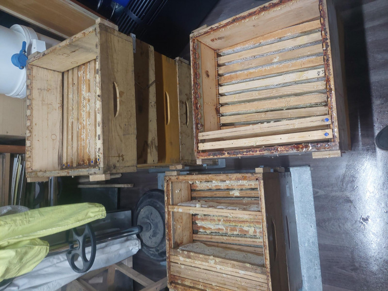 le Rucher Mielchi d'Or à Tenneville | Boncado - photo 9