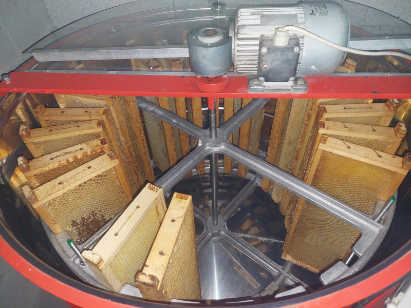 le Rucher Mielchi d'Or à Tenneville | Boncado - photo 13