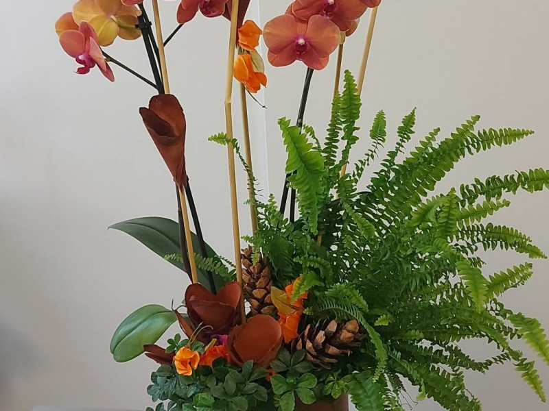 A fleur d'elle à Tournai | Boncado - photo 7