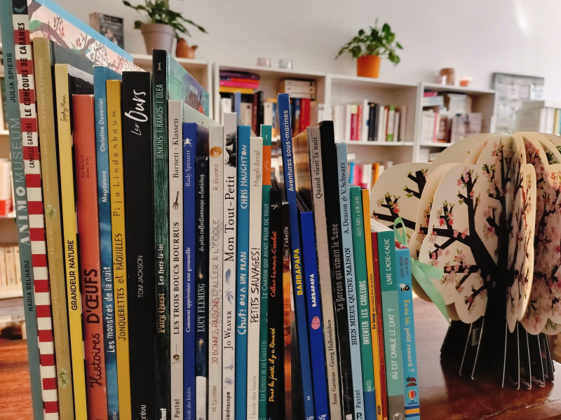 Les Bonbons Littéraires à Andenne - Librairie indépendante - Dépôt-vente | Boncado - photo 8