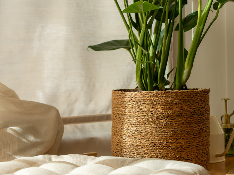 Studio Health Up à Woluwé-Saint-Lambert - Conseiller en nutrition – diététicien - Coach sportif | Boncado - photo 15