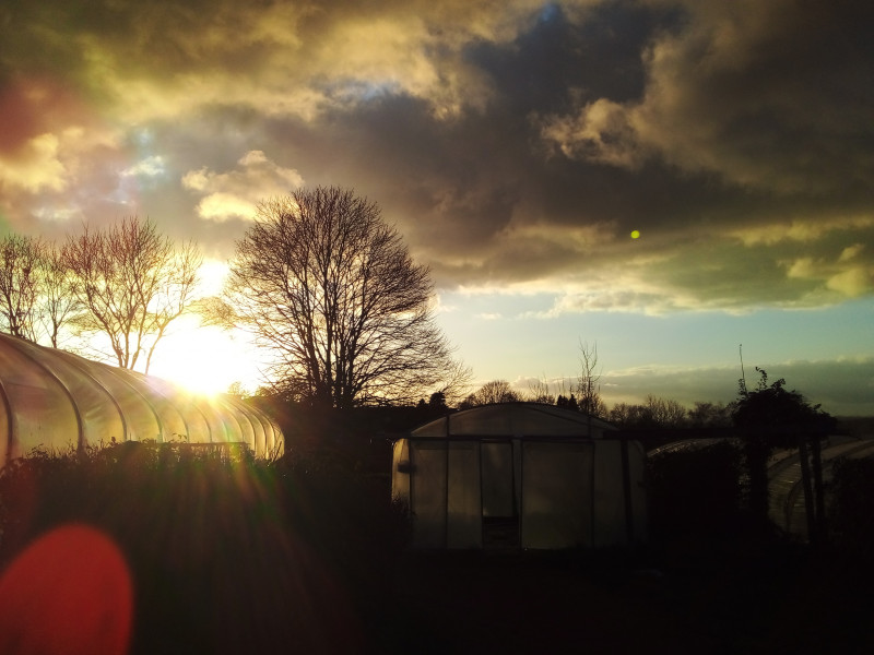 Le Potager de St Germain à Soiron-Pepinster - Bio-Lebensmittelgeschäft - Lokaler Erzeuger | Boncado - photo 11