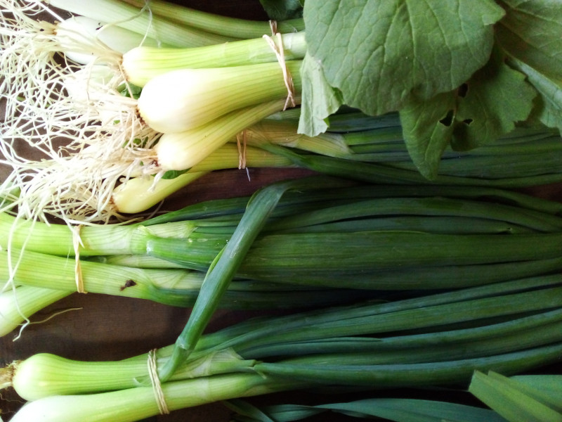 Le Potager de St Germain à Soiron-Pepinster - Bio-Lebensmittelgeschäft - Lokaler Erzeuger | Boncado - photo 6