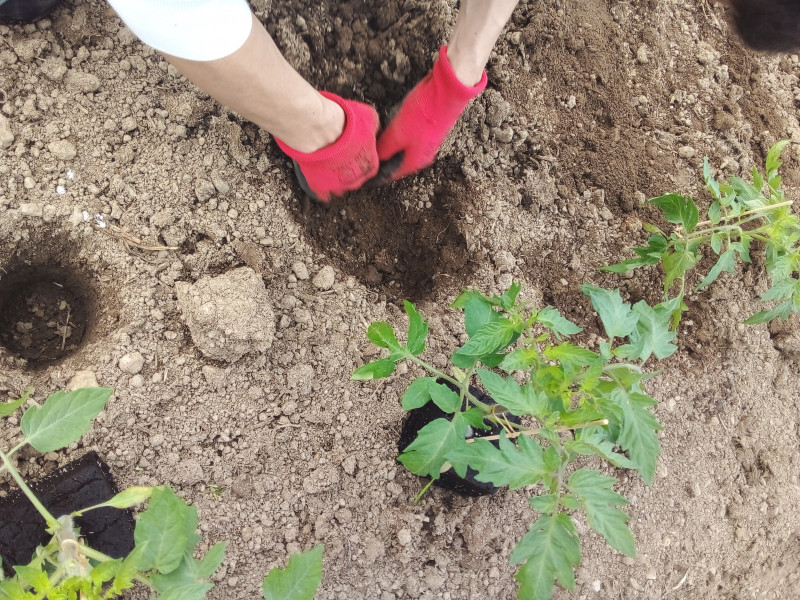 Le Potager de St Germain à Soiron-Pepinster - Bio-Lebensmittelgeschäft - Lokaler Erzeuger | Boncado - photo 16