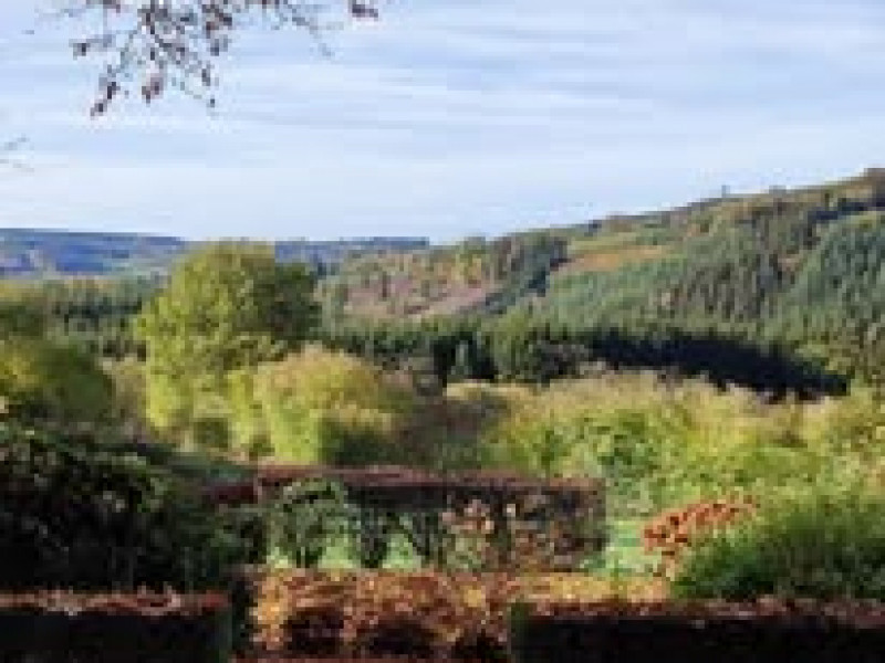 Ferme des Bruyères à Malmedy - Restaurant | Boncado - photo 12