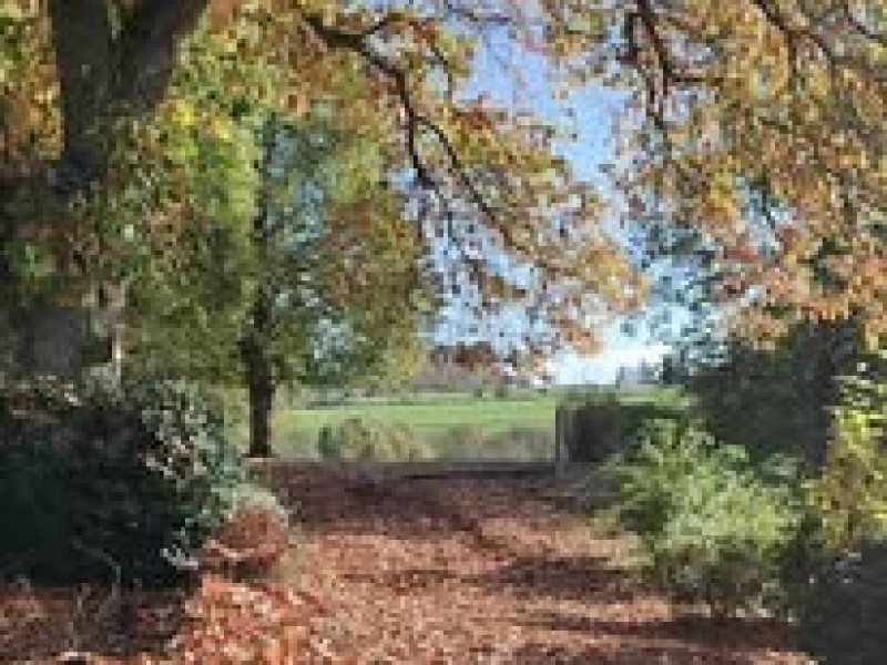 Ferme des Bruyères à Malmedy - Restaurant | Boncado - photo 30