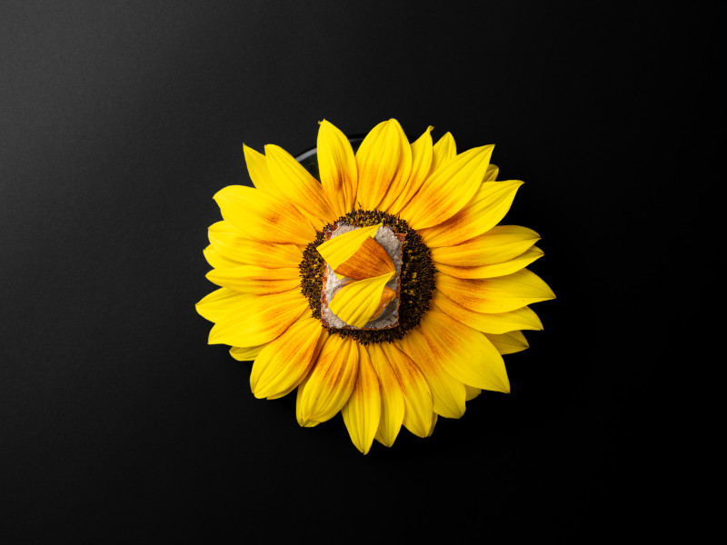 Sophie et Nicolas à Comblain la Tour - Gourmet-Restaurant - Restaurant | Boncado - photo 6