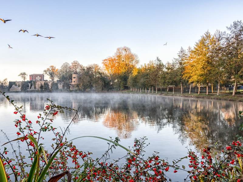 La Brousse (le lac de Barbençon) à Barbençon - Familienrestaurant - Bierbar | Boncado - photo 6