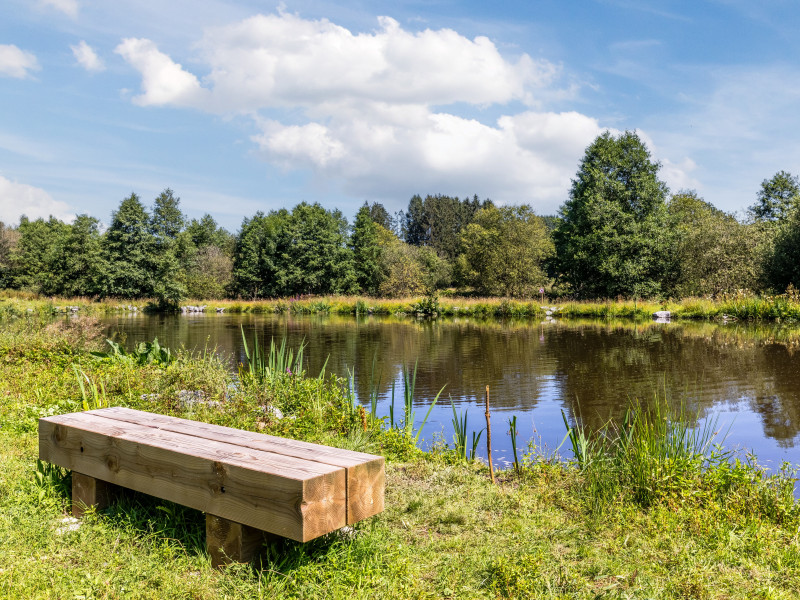 Bois des Bois à Grandvoir - Restaurant bistronomique - Cuisine belge | Boncado - photo 7