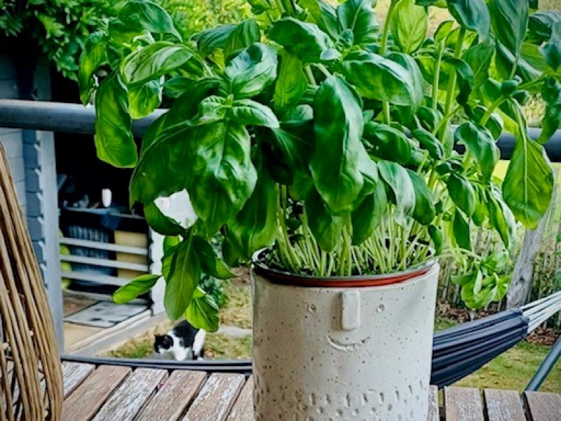 Atelier BIEN COOL à Malmedy | Boncado - photo 6