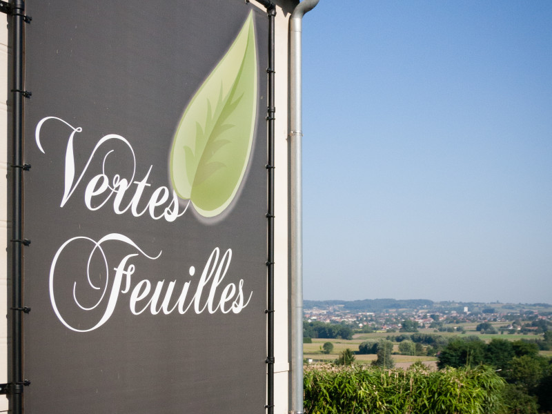 Vertes Feuilles/Pascal Martens à Frasnes-lez-Anvaing | Boncado - photo 6