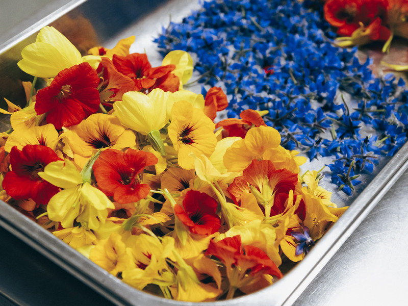 La Tour Glacée à Ronquières | Boncado - photo 6