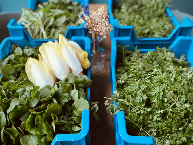L'atelier des alchimistes à Blaregnies - Restaurant végétarien – végétalien - Restaurant familial | Boncado - photo 9