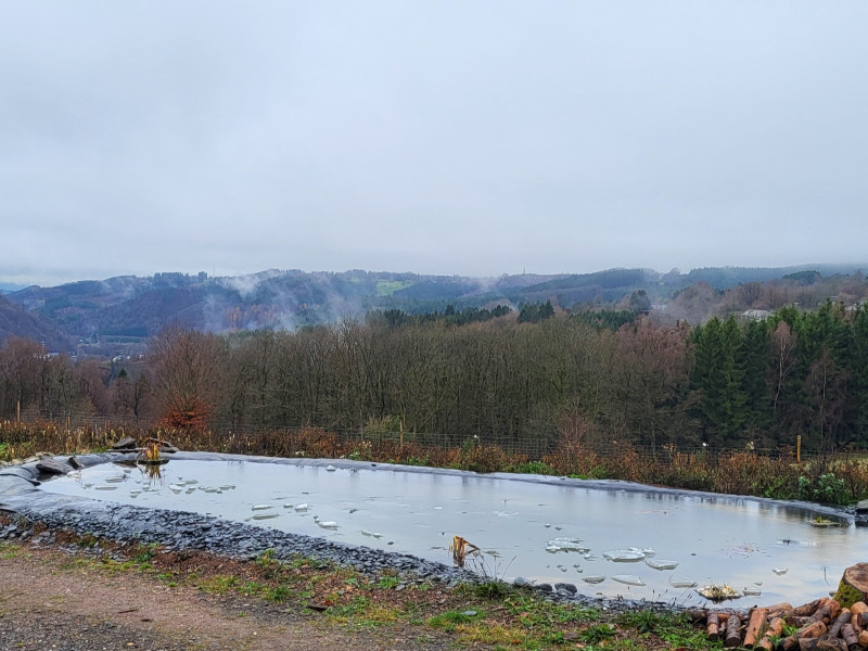 Les Cultures du Raideu à Malmedy - Lokale producent - Bloemist | Boncado - photo 16
