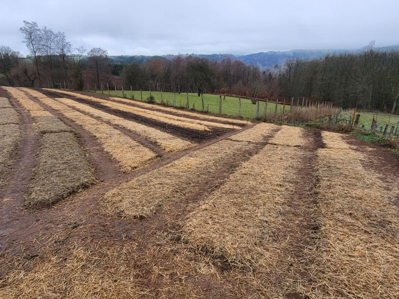 Les Cultures du Raideu à Malmedy - Lokale producent - Bloemist | Boncado - photo 19