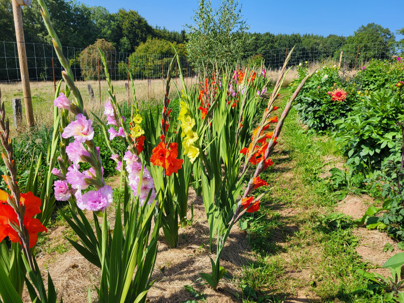 Les Cultures du Raideu à Malmedy - Lokale producent - Bloemist | Boncado - photo 8