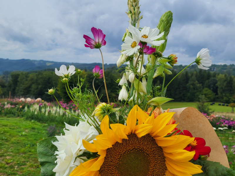 Les Cultures du Raideu à Malmedy - Lokale producent - Bloemist | Boncado - photo 9